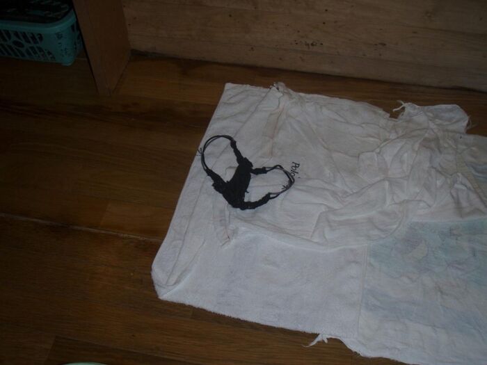 Share gentlemen like stain panty underwear fetish her and my sister dirty panties are erotic pictures 17th image